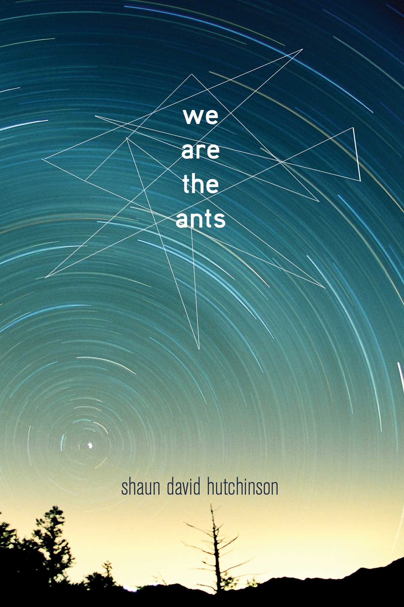 we-are-the-ants-9781481449632_hr